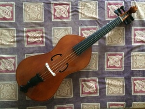 Tenor viol after Antonio Brensio (Bologna, 1612?), currently in the collection of the Castello Sforzesco, Milan. Quilted maple and black oxidised oak.